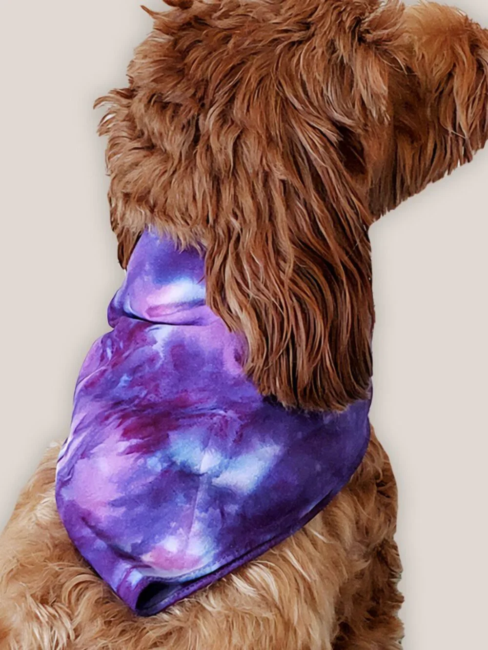 Akasha Sun designed vibrant